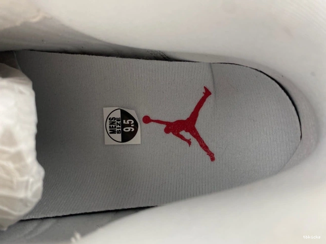 Rep TB Wolf Air Grey 414571-160 Jordan 13 0702
